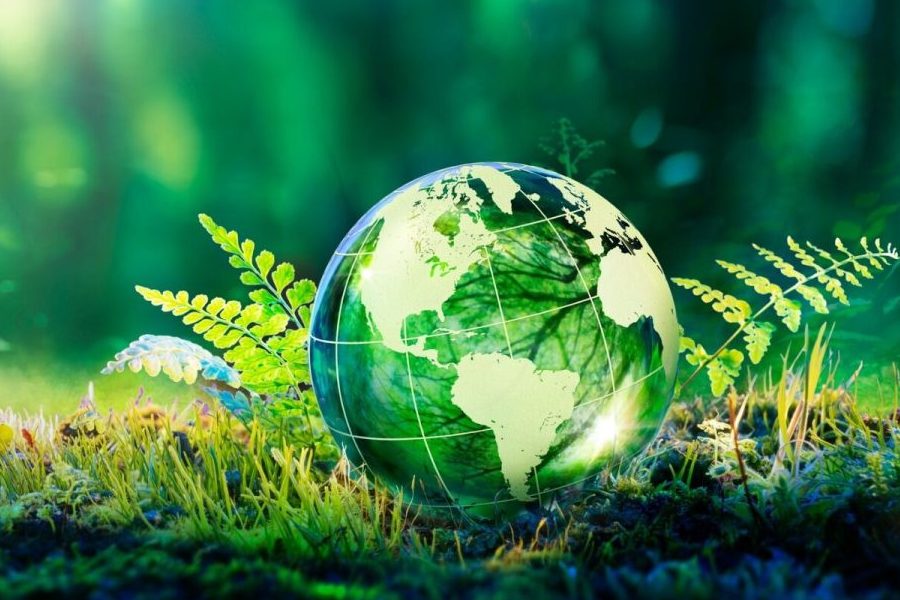 Sustainable Living