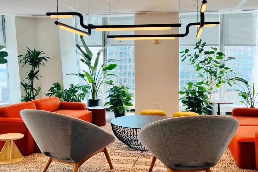 Best Artificial Plants