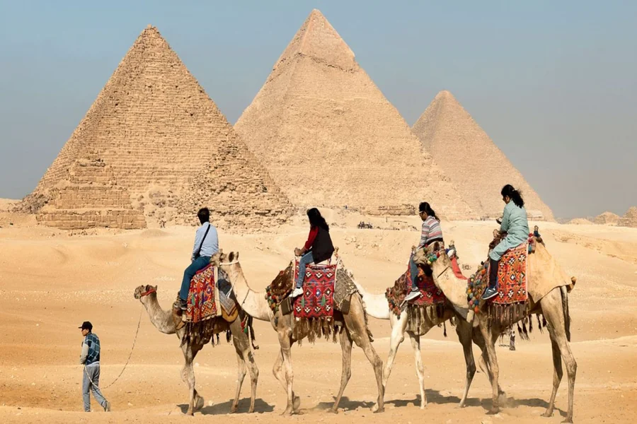 Best Tours