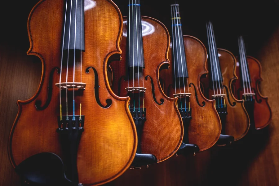 Instrument