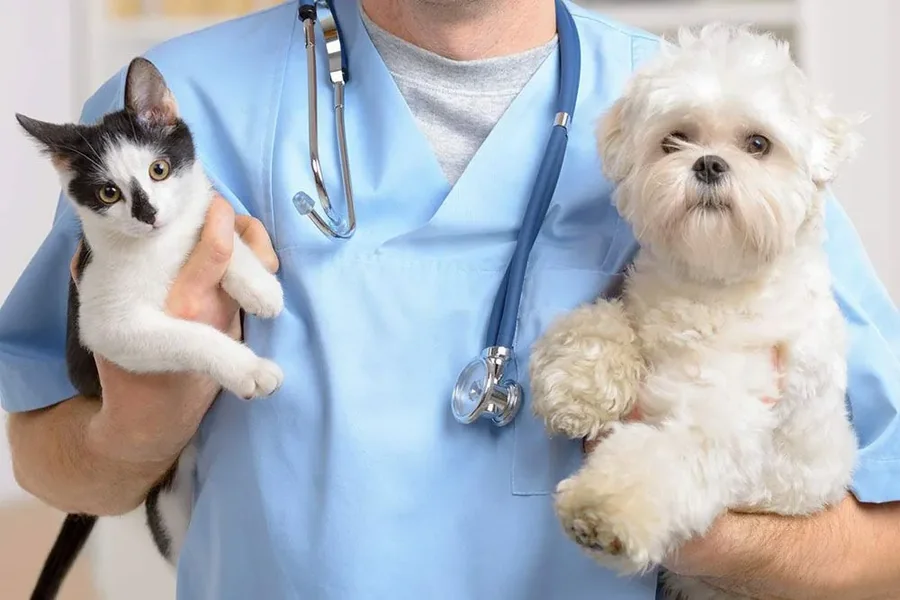 Vet Care