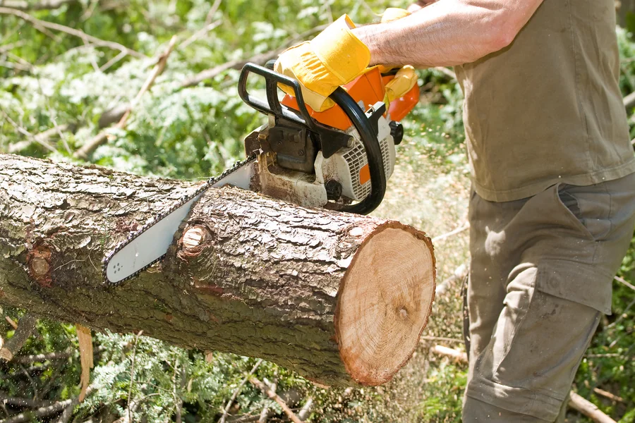 Tree Service